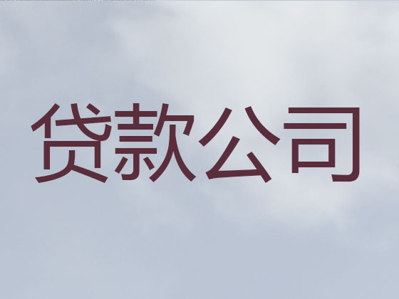 老河口市信用贷款-抵押担保贷款